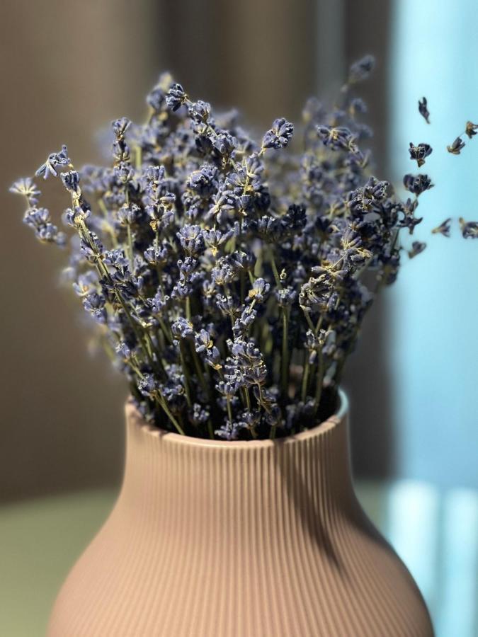 Jeny Boutique Apartment Târgu-Mureş Exteriör bild